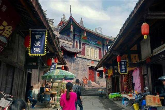 动物帮帮忙保卫家园